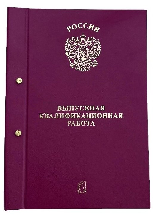 Папка для Выпускной квалификационной работы, для диплома, курсовых, рефератов. А4, без бумаги, 2 отверстия, на золотых болтах. ВКР