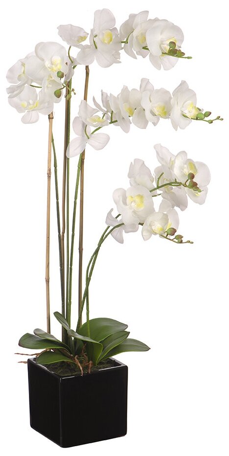 Искусственная Орхидея белая, в черном керамическом горшке 80 см