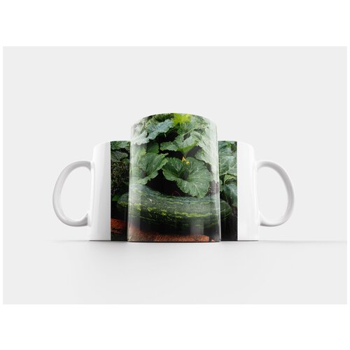 фото Кружка "тыква, биография, овощи" 320 мл lotsprints