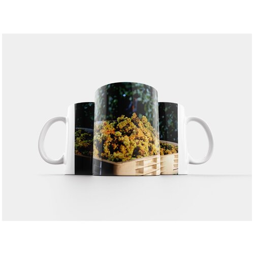 фото Кружка "шардоне, вино, уборка урожая" 320 мл lotsprints