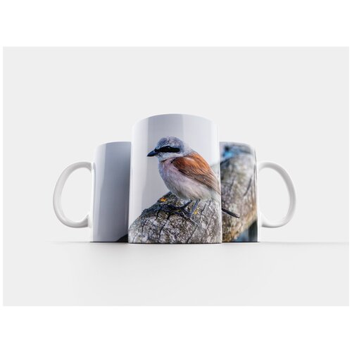 фото Кружка "шрайк обыкновенный, мужчина, птица" 320 мл lotsprints