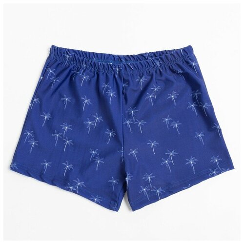 LIZA VOLKOVA Плавки мужские цвет синийбелый размер 56 522₽