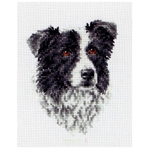 фото Pce219 набор для вышивания anchor border collie 11*8см, mez, венгрия