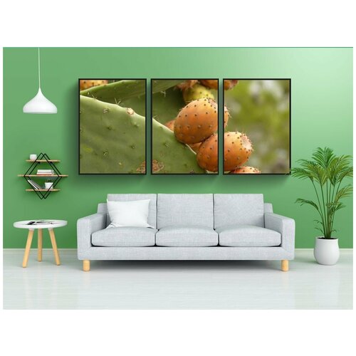 фото Набор модулных постеров для интерьера "опунция, кактус, инжир" 60x90 см. в тубусе, без рамки lotsprints