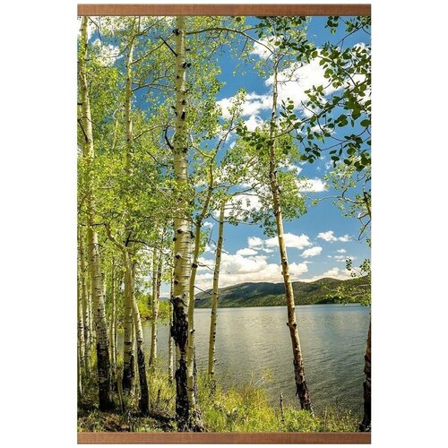 Гибкий настенный обогреватель Березки для помещений 60х105 см 127500₽