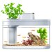 Xiaomi Акваферма Xiaomi Descriptive Geometry C180 Smart Fish Tank Pro - C180Fish