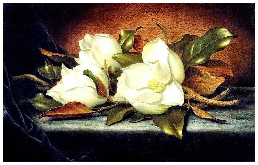 Постер Магнолия (Magnolia) №3 47см. x 30см.