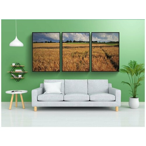 фото Набор модулных постеров для интерьера "пшеница, летом, растут" 60x90 см. в тубусе, без рамки lotsprints