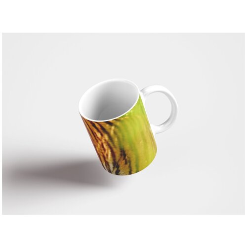 фото Кружка "тигр, хищник, шерсть 320 мл. белая lotsprints