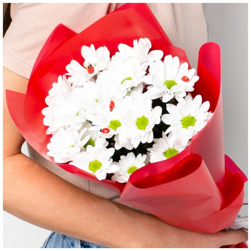 Цветы живые букет из кустовой белой хризантемы "Невесомость" 60 см. Голландия| Лэтуаль Flowers