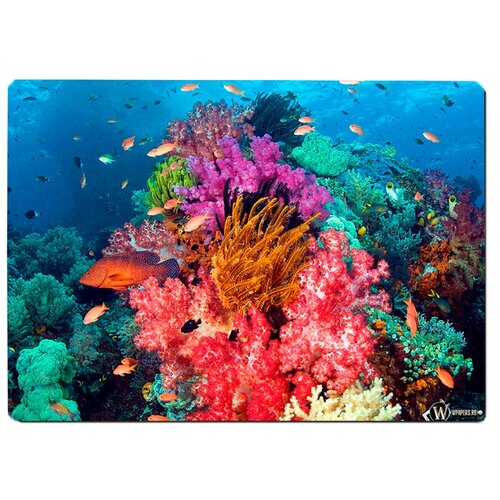 фото Коврик для мыши подводный мир, рыбки, кораллы drabs