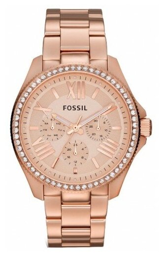 Наручные часы FOSSIL Cecile AM4483