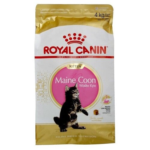 Royal Canin Сухой корм RC Kitten Maine Coon для котят крупных пород, 4 кг