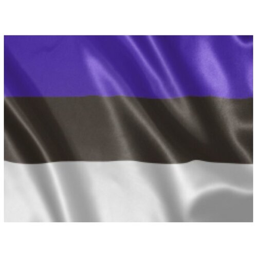Подарки Флаг Эстонии (135 х 90 см)