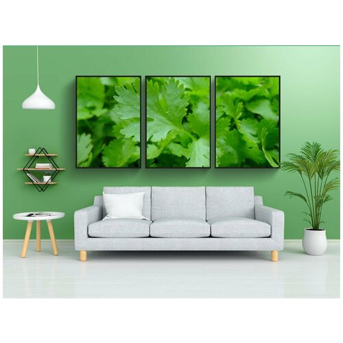 фото Набор модулных постеров для интерьера "петрушка, дерево, еда" 60x90 см. в тубусе, без рамки lotsprints