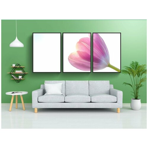 фото Набор модулных постеров для интерьера "тюльпан, розовый, голландский" 60x90 см. в тубусе, без рамки lotsprints