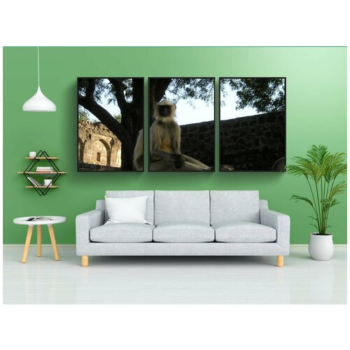 фото Набор модулных постеров для интерьера "индия, обезьяна, дикий" 60x90 см. в тубусе, без рамки lotsprints