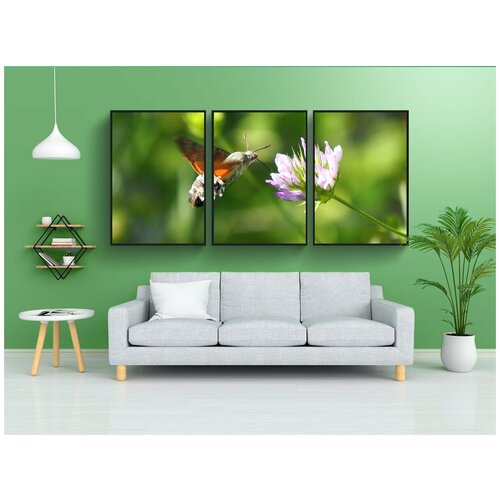 фото Набор модулных постеров для интерьера "природа, бабочка, моро сфинкс" 60x90 см. в тубусе, без рамки lotsprints