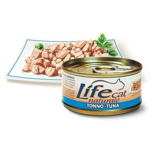 Lifecat Деликатес для кошек Тунец в бульоне 85гр 124 (12 шт)