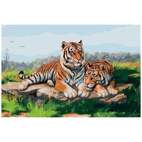 Картина по номерам Пара тигров, 40x60 см