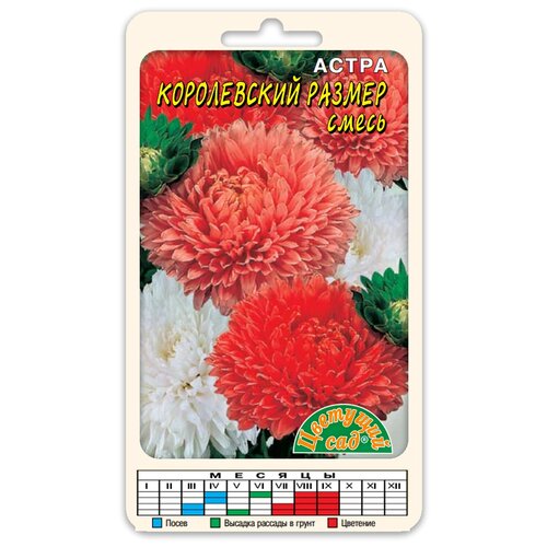 Семена Цветущий сад Астра Смесь Королевский размер, 0,1 г цветущий сад семена астра смесь гала густомахровая цветущий сад