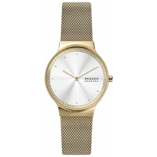 Наручные часы Skagen SKW3027