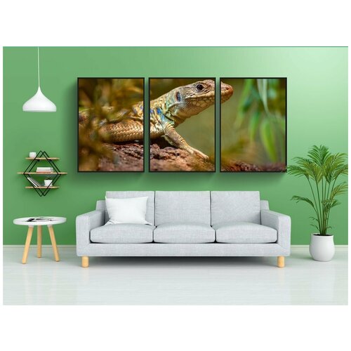 фото Набор модулных постеров для интерьера "ящерица, рептилия, чешуйчатый" 60x90 см. в тубусе, без рамки lotsprints