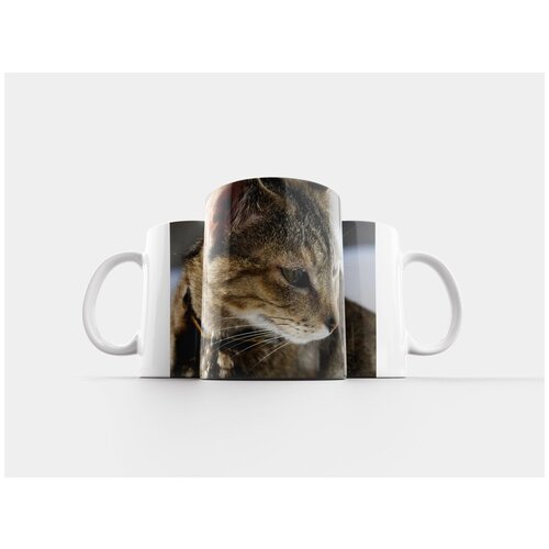 фото Кружка "полосатый, кошачий, шерсть" 320 мл lotsprints