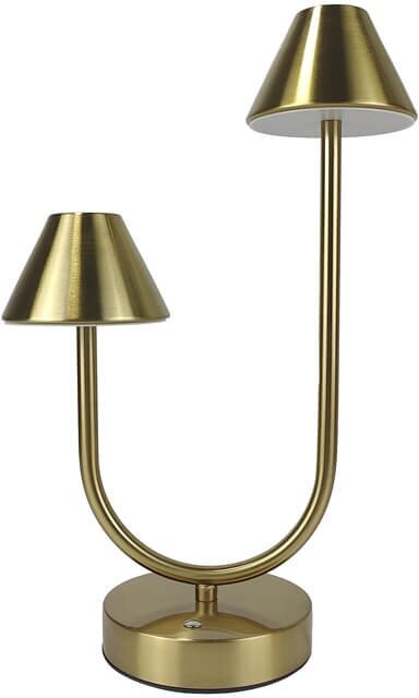 Настольная лампа L'Arte Luce Pondera L65131.70 bronze