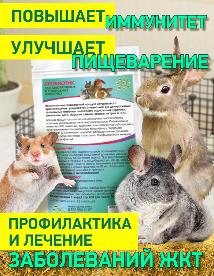 Пробиотик для декоративных животных 100 гр