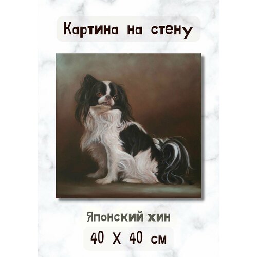Картина "Японский хин" на холсте в рисованном стиле с маленькой собакой 40х40 Bestkartina