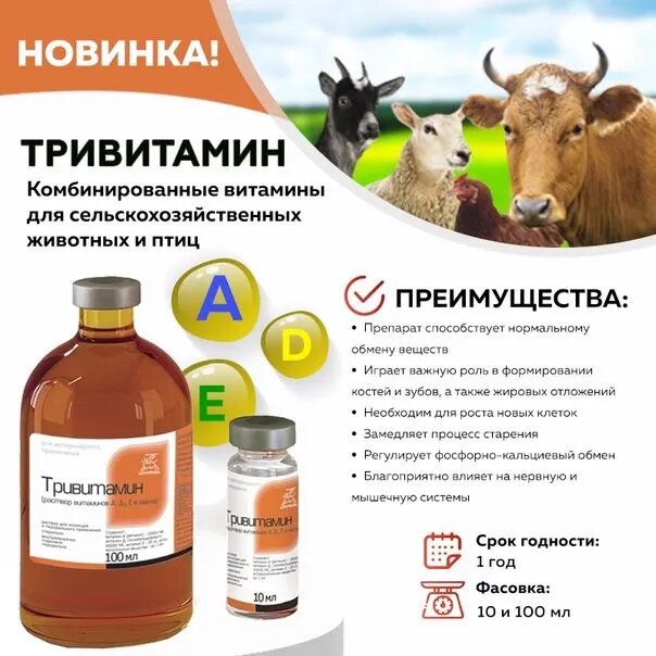 Картинки Тривитамин инъекционный 100 мл