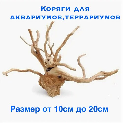 Коряга Декорация для аквариума полюдариума террариума затонувшая 10 - 20 см 399₽