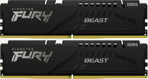 Изображение товара Оперативная память Kingston FURY Beast Black EXPO 16Gb (2x8Gb) DDR5-6000 DIMM (KF560C30BBEK2-16)