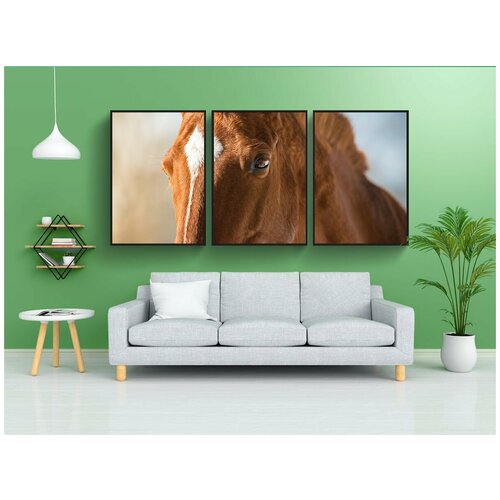 фото Набор модулных постеров для интерьера "животное, сельскохозяйственное животное, лошадь" 60x90 см. в тубусе, без рамки lotsprints