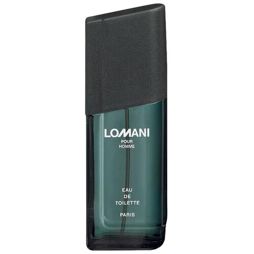 Lomani туалетная вода Lomani pour Homme, 100 мл