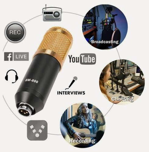 Изображение товара Микрофон конденсаторный профессиональный набор Studio BM800, Золотой с черным