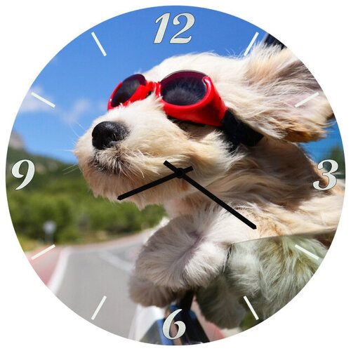 фото Svs настенные часы svs 4002040 собака в очках
