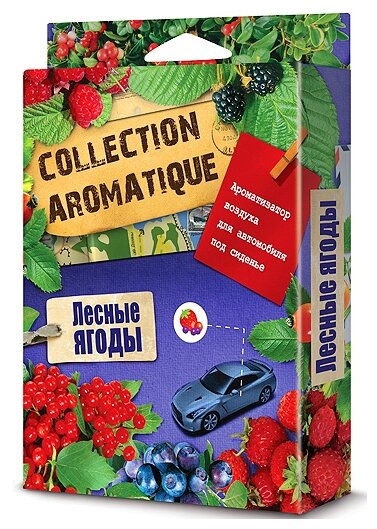 Ароматизатор Fouette Collection Aromatique Лесные Ягоды Са-12 Под Сиденье 200 Мл Fouette арт. CA-12