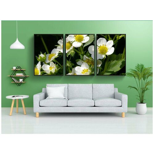 фото Набор модулных постеров для интерьера "цветы клубники, клубника, расцветает" 60x90 см. в тубусе, без рамки lotsprints