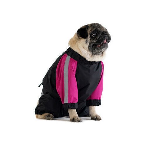 Комбинезон мембранный для Мопса без подкладки на девочку 2600₽