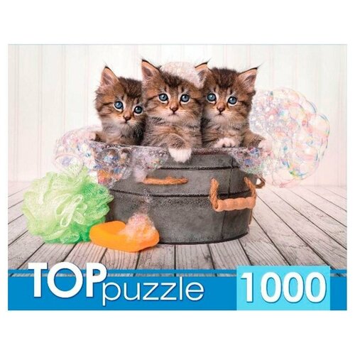 пазл top puzzle 1000 деталей и прищепа золотая осень Пазл TOP Puzzle 1000 деталей: Три голубоглазых котёнка