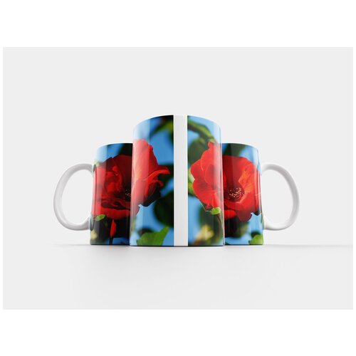 фото Кружка "природа, цветок, роза" 320 мл lotsprints