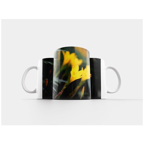 фото Кружка "цветы, природа, цветочный" 320 мл lotsprints