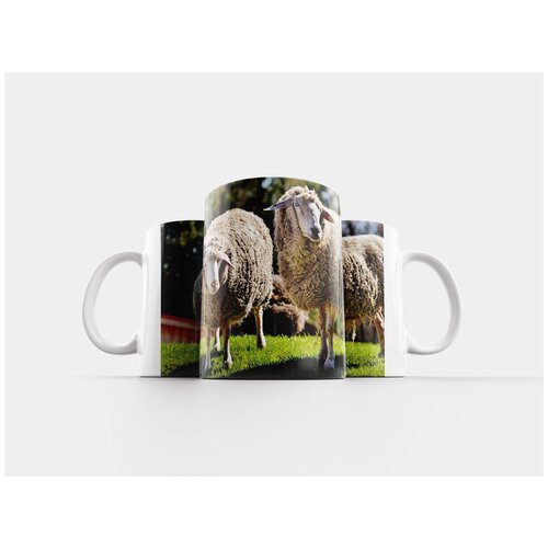 фото Кружка "овец, шерсть, животное" 320 мл lotsprints