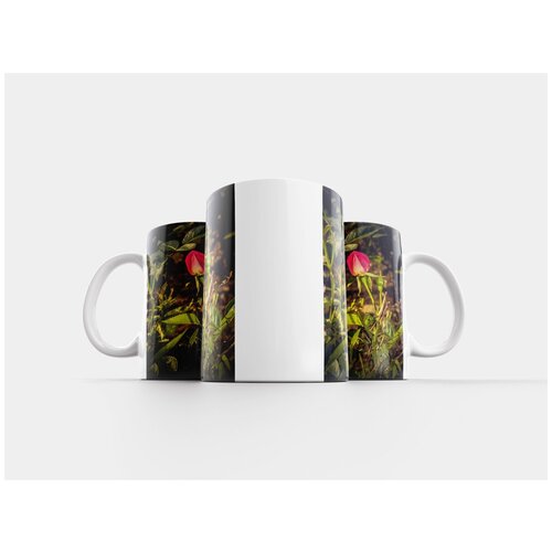 фото Кружка "роза, цвести, закрывать" 320 мл lotsprints