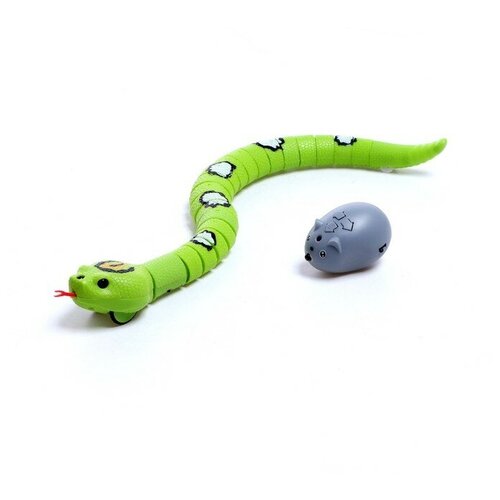 --- Змея радиоуправляемая Джунгли, работает от аккумулятора, цвет зеленый