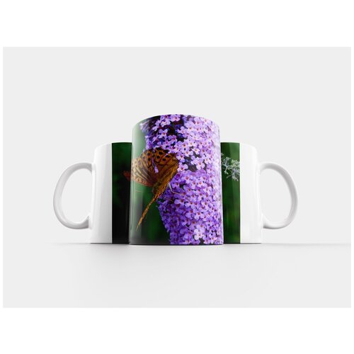 фото Кружка "императорское пальто, буддлея, бабочка" 320 мл lotsprints