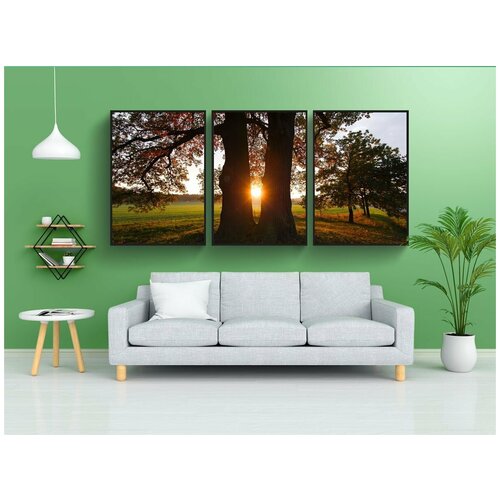 фото Набор модулных постеров для интерьера "дерево, парк, природа" 60x90 см. в тубусе, без рамки lotsprints