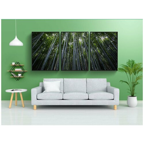 фото Набор модулных постеров для интерьера "растения, деревья, бамбук" 60x90 см. в тубусе, без рамки lotsprints